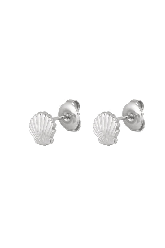 Shell studs Earrings zilver